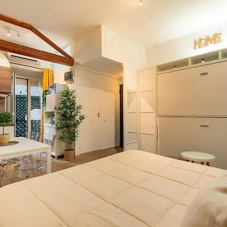 Domus Romana Musei Vaticani *