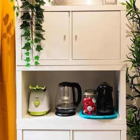 Domus Romana Musei Vaticani